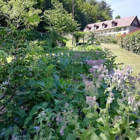 La Climontaine Bed & Breakfast Urbeis Dış mekan fotoğraf