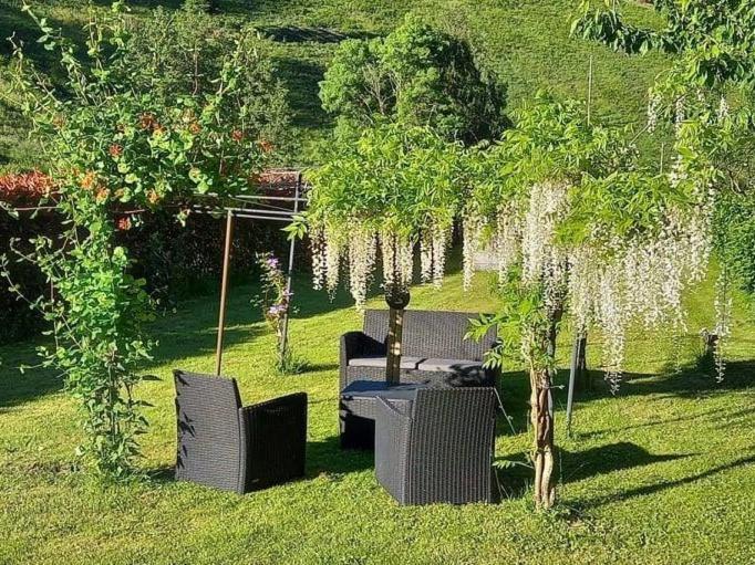 La Climontaine Bed & Breakfast Urbeis Dış mekan fotoğraf