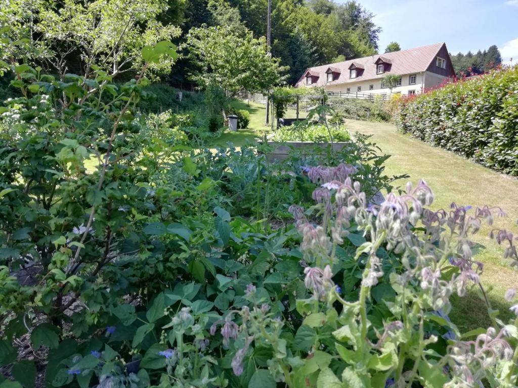 La Climontaine Bed & Breakfast Urbeis Dış mekan fotoğraf